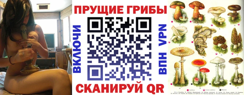 закладки  Ессентукская  ссылка на мегу маркетплейс  Псилоцибиновые грибы Psilocybe 